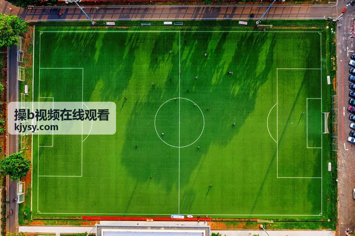 专题合集相关内容，操b视频在线观看
